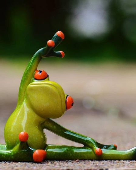 La formation des téléprospecteurs : un levier de performance pour votre entreprise