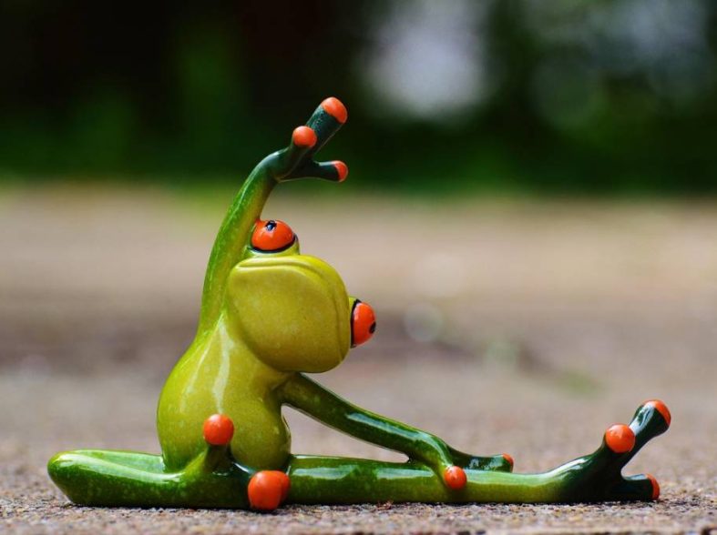 La formation des téléprospecteurs : un levier de performance pour votre entreprise